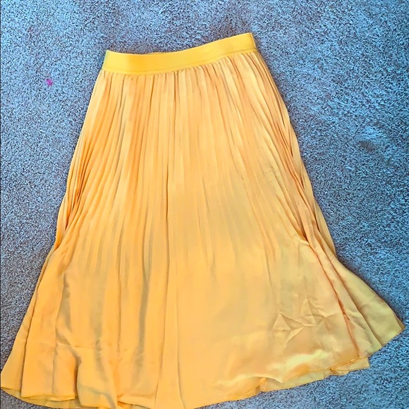 NWT J Crew midi skirt - Picture 3 of 4